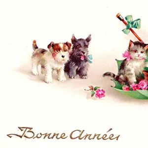 Kittens and puppies on a French New Year postcard