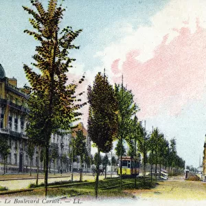 Lille, France - Le Boulevard Carnot. Date: circa 1910