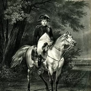Napoleon Bonaparte on his horse Marengo