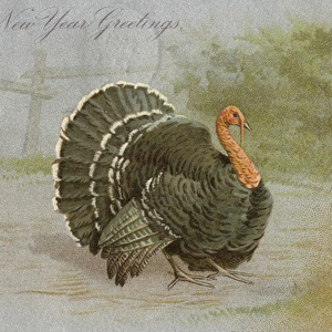 New Years Greetings postcard, with turkey and child