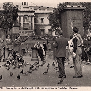 Posing for a photograph with the pigeons of Trafalgar Square