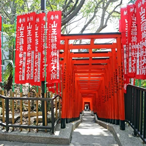 Red Torii gates and steps Hie-Jinja Shrine, Tokyo, Japan