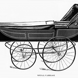 Spinal carriage