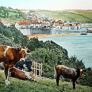 St. Mawes, Cornwall, Victorian period