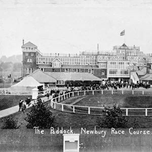 View of paddock and grandstand, Newbury racecourse