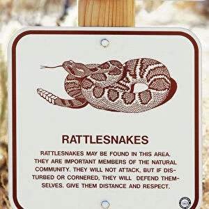 Rattlesnake Related Images