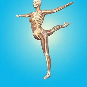 Skeleton dancing
