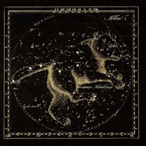 Ursa Major constellation, 1829 C016 / 4387
