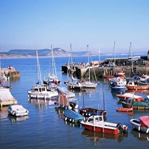 Boats in harbour, Lyme Regis, Dorset, England, United Kingdom, Europe