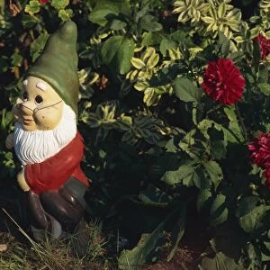 Close-up of a garden gnome outdoors beside a red dahlia in flower