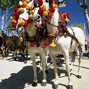 Pair of colourfully decorated horses