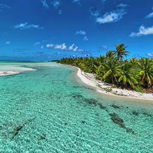 Palm trees at the blue lagoon, Fakarava, Tuamotu archipelago, French Polynesia, South Pacific, Pacific
