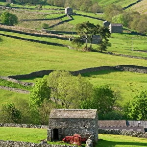 Traditional barns and dry stone walls in Swaledale, Yorkshire Dales National Park