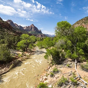 View of the Watchman down the Virgin River, Zion National Park, Utah, United States