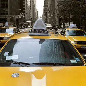 Yellow taxis along Fifth Avenue, Uptown Manhattan, New York City, New York