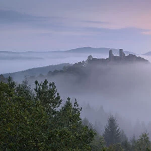 Altdahn Castle in sea of fog, Dahn, Palatinate Forest, Rhineland-Palatinate, Germany