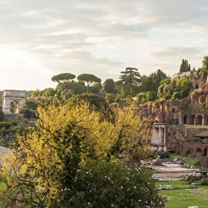 Europe, Italy, Rome. The forum romanum at sunrise with view towards the Palatine hill
