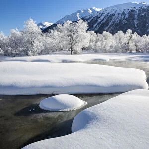 Winter landscape with trees covered in hoarfrost and frozen river. Celerina, Engadin