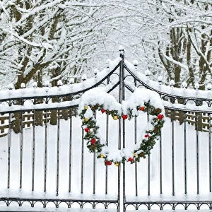 Fence line and fresh snow with trees line lane and metal gate with Christmas wreath
