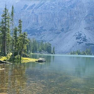 USA, Utah, Ashley National Forest, High Uintas Wilderness, Picture Lake and conifers