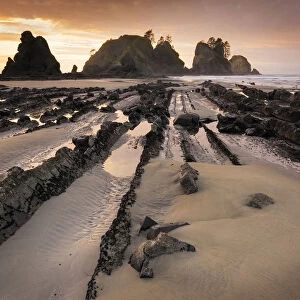 USA, Washington State, Olympic National Park. Sunrise on coast beach and rocks. Credit as