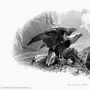 THE EAGLES NEST, 1870. American banknote engraving, c1870