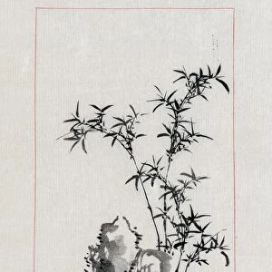 A Japanese drawing of bamboo and rocks in a garden. Drawing by Settei Haswgawa, 1878