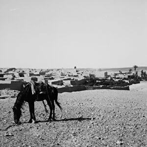 JORDAN: MA AN, c1910. A view of Ma an, Jordan. Photograph, c1910