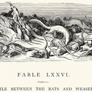 La Fontaines Fables - Battle bewtween the Rats and Weasels