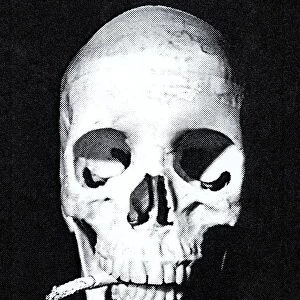 Skull Smoking a Cigarette