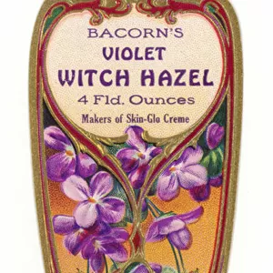 Bacorns Violet Witch Hazel Label (chromolitho)