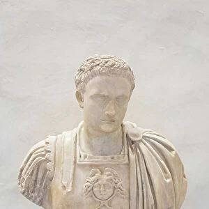 Bust with the head of Domitian, late 1st century AD (marble)