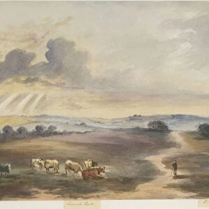 Cannock Chase - Heath : water colour painting, 1844 (painting)