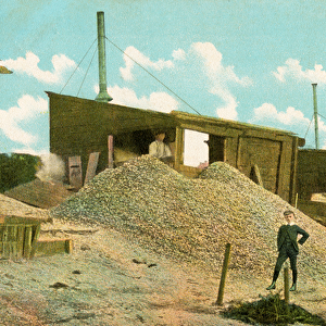 The cockle sheds in the old town, Leigh-on-Sea, Essex, England (colour litho)