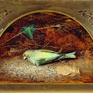 A Dead Linnet, 1862 (oil on board)