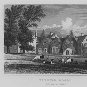 Farming Woods, Northamptonshire (engraving)