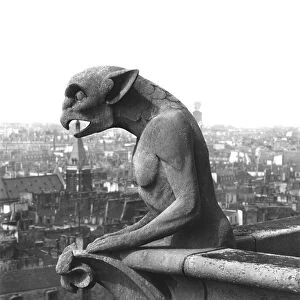 Gargoyle from the balustrade of the Grande Galerie of the west facade, replica of a 12th century original (stone) (b / w photo)