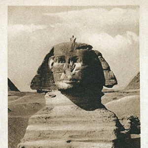The Great Sphinx on the Giza Plateau, Egypt (b / w photo)