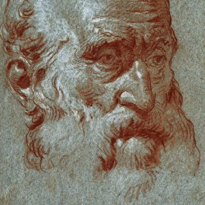 Head of a Venetian Patrician, Three-Quarter Face, (red and white chalk on grey-blue paper