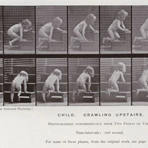 The Human Figure in Motion: Child, crawling upstairs (b / w photo)