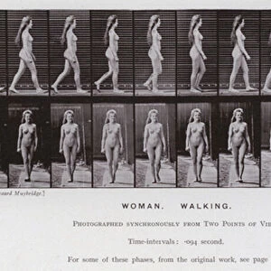 The Human Figure in Motion: Woman, Walking (b / w photo)
