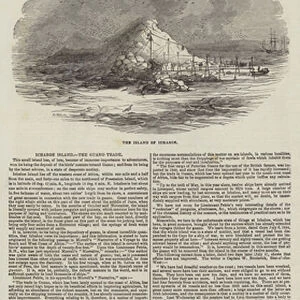 Ichaboe Island, the Guano Trade (engraving)