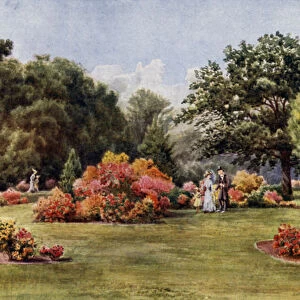 Kew Gardens: The Azaleas (colour litho)