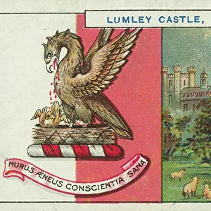 Great Lumley