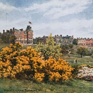 Mount Ephraim, Tunbridge Wells (colour litho)