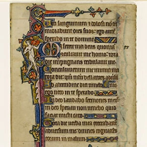 MS 1-2005, fol. 80v: A Naked Musician, marginal decoration from the Macclesfield Psalter