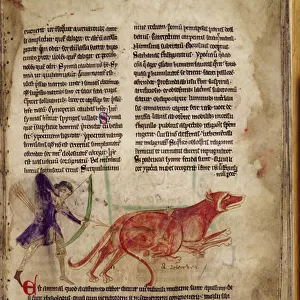 Ms 254, f. 19r: Huntsman aiming an arrow at two beavers, from a Bestiary