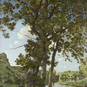 The Oaks of Chateau-Renard, 1875 (oil on canvas)