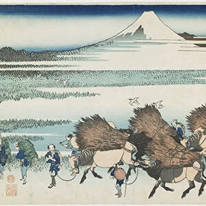 The Paddies of O_no in Suruga Province, 1831-1834