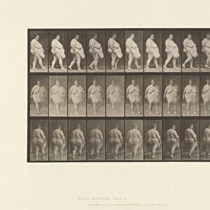 Plate 19. Walking, Commencing to Turn Around, 1885 (collotype on paper)